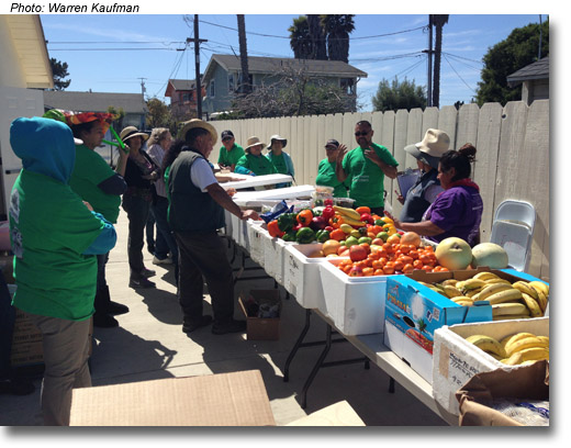 Nancy's Project food distribution